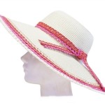 Wholesale Hats Free Shipping