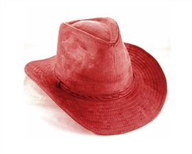 suede cowboy hat